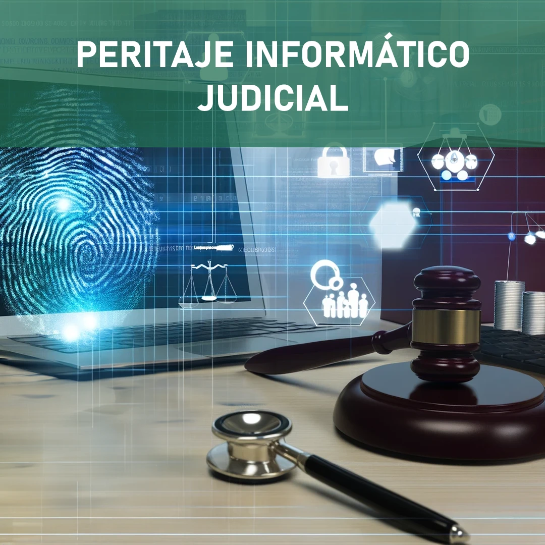 Peritaje Informático Judicial